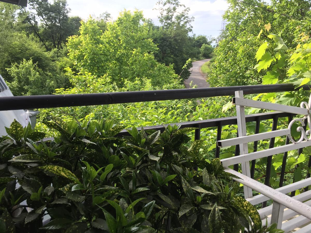 Nino'S Veranda Apartment Телави Екстериор снимка